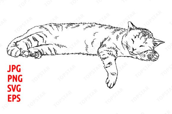 Download Sleeping Cat Illustration Clipart - Cat Collection
